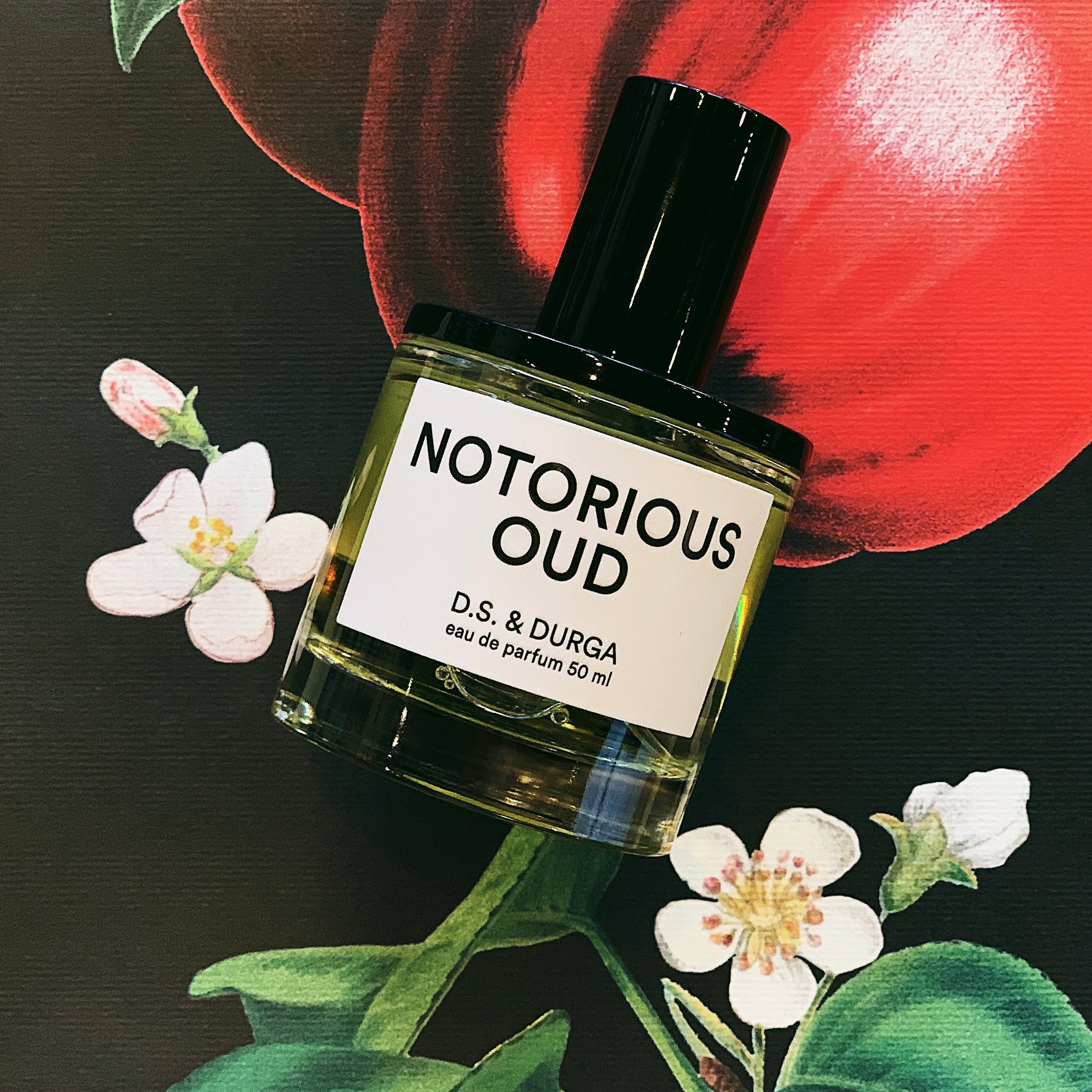 Notorious new arrivals oud perfume