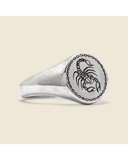 Scorpion signet ring best sale